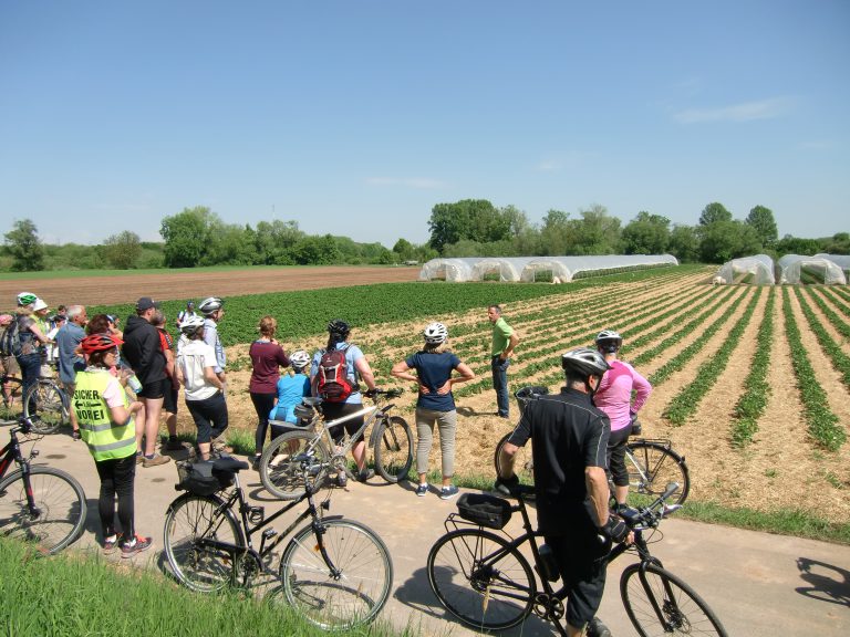 25.9. Bio-Radeltour durchs nördliche Obere Werntal