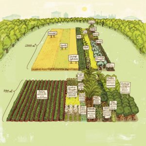 schematischer Weltacker